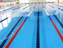 福建体育馆标准游泳池瓷砖的参数要求