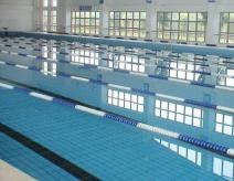 竞赛游泳池瓷砖的规格尺寸