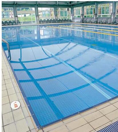 为什么游泳池里的泳池砖颜色都比较的单一